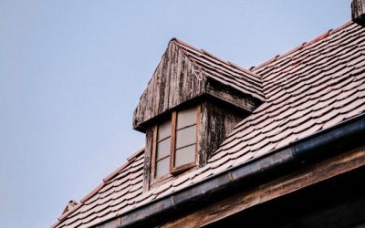 Roof Inspectors