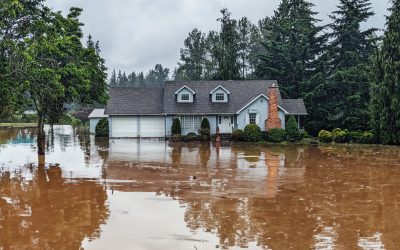 Who Is Responsible for Flood Damage Landlord or Tenant