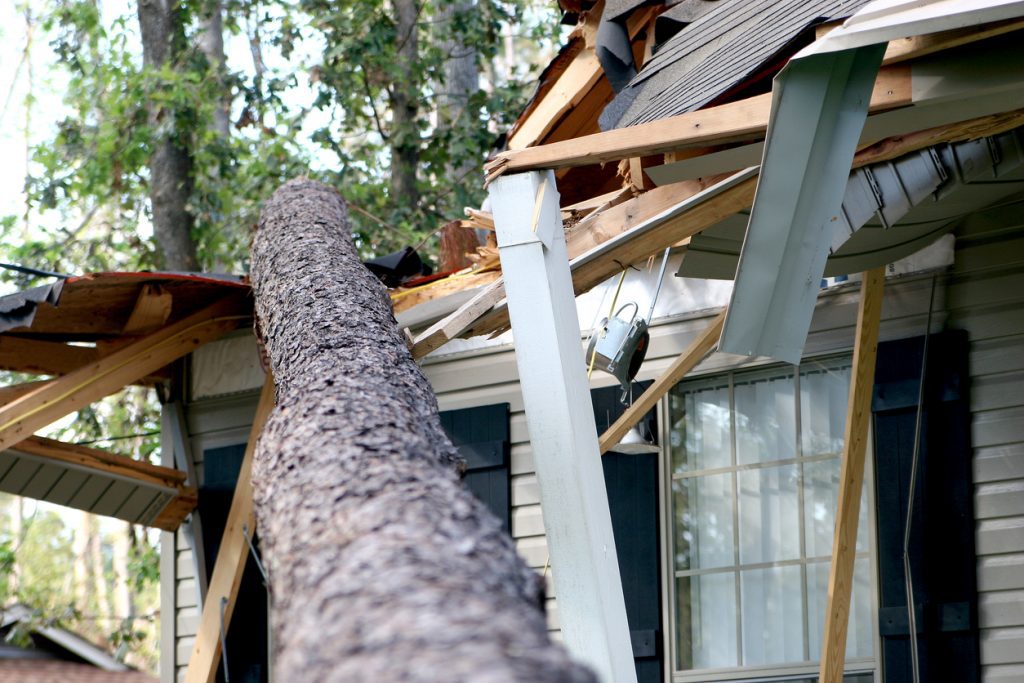 Hurricane Public Adjuster