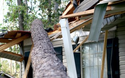 Hurricane Public Adjuster