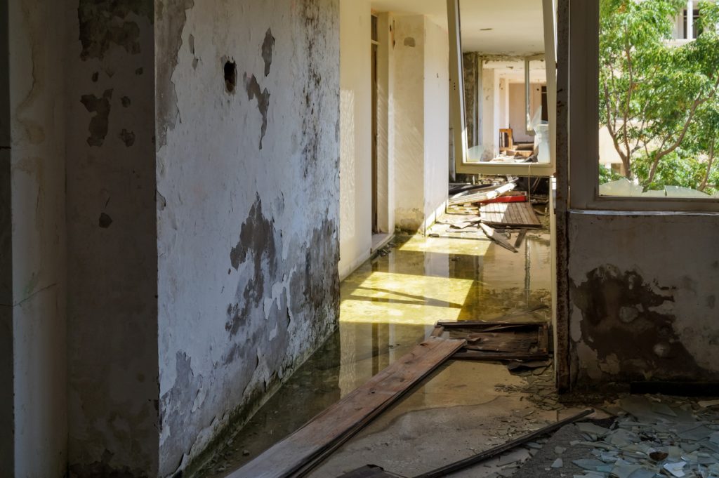 water damage public adjuster