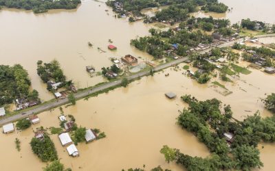how much does flood insurance cost in florida